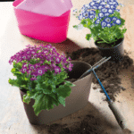 CASSETTA SAINT TROPEZ MAT - Image 2