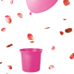 IRIS COLOR - Image 2