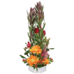 OTTAGONO - immagine 2