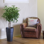 SAINT TROPEZ ESTEREL MAT - Image 2