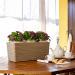 CASSETTA SAONA - Image 2